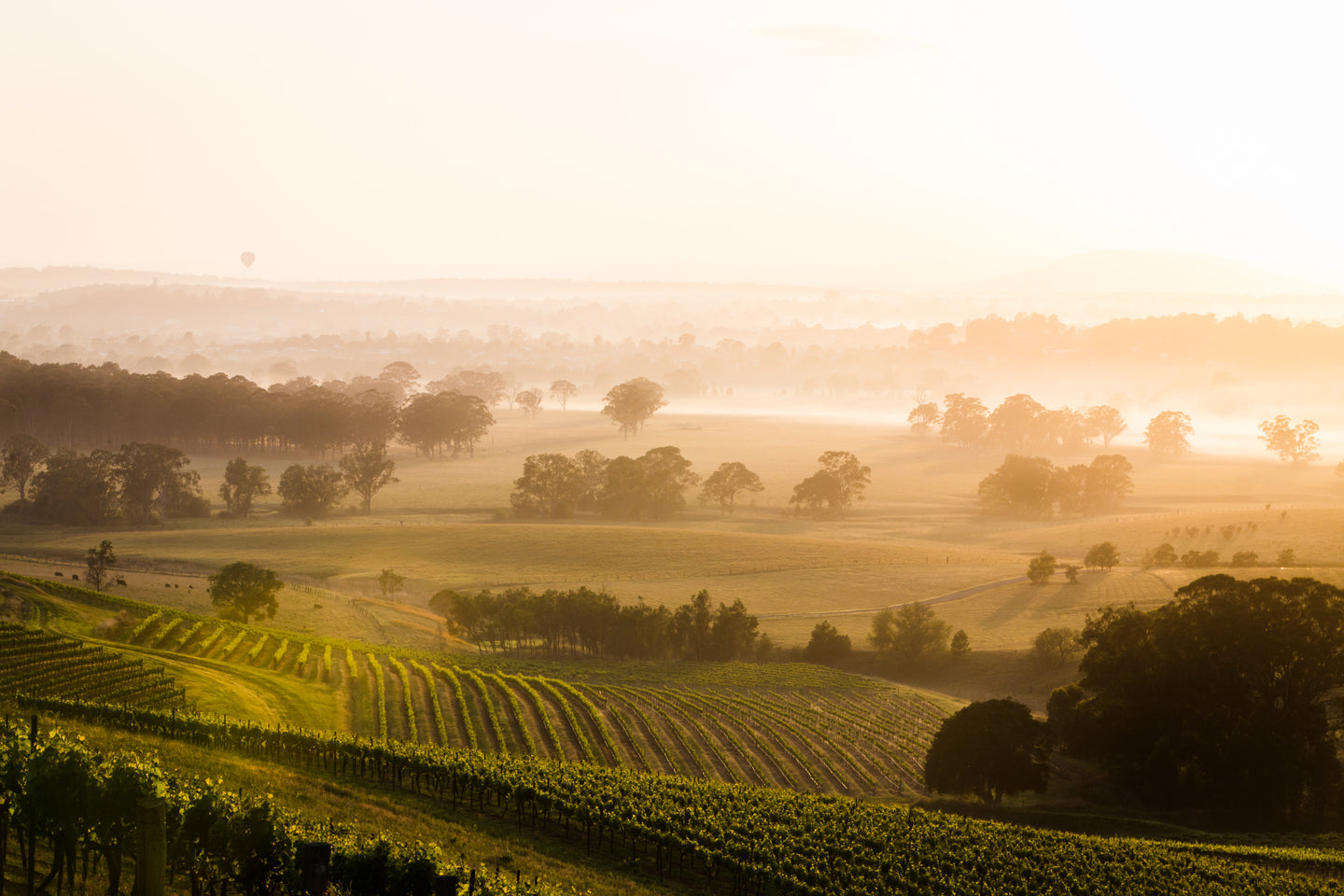 Visit Australia's Wine Regions